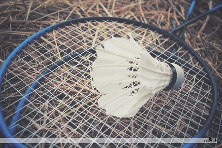 在同类产品中，链条按基本结构要素进行分系列。以元件形状、同链条啮合的零部件以及部位之间的尺寸比例为依据，链条的种类虽然繁多，但本质上可归纳为若干基本结构，其它多在此基础上进行改型。大多数链条由链板、链销、轴套等部件组成；而其他类型的链条则是在链板上增加不同的改动元件，如刮板、导向轴承、滚轮等，以满足特定应用场景的需求。