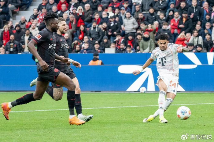 德甲裁判误判迪亚斯假摔引争议，德国足协坚持